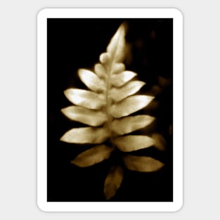 soft focus fern Sticker